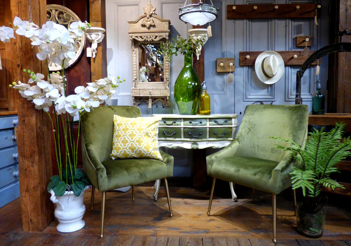 ReclaimedWorld's tweet photo. '#Green is the prime #colour of the world, and that from which its loveliness rises'.

https://t.co/DEPWHeYMKG

#reclaimedworld #cheshire #salvage #antiques #vintage #home #garden #interiordesign #furniture #antique #reclaimed #rustic #botanical #velvet #cocktailchair #orchid https://t.co/Aech7Xrzoj
