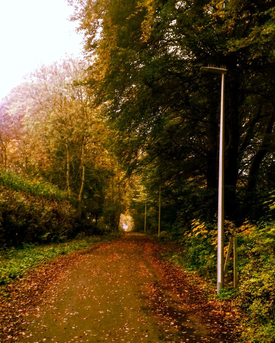 DundeeCulture's tweet photo. Autumn path captured beautifully near Caird Park! 🍁😍

#AutumnInDundee #Dundee #CairdPark #Claverhouse #ClaverhouseOldRoad #AutumnIsBeautiful https://t.co/QiiKBidern