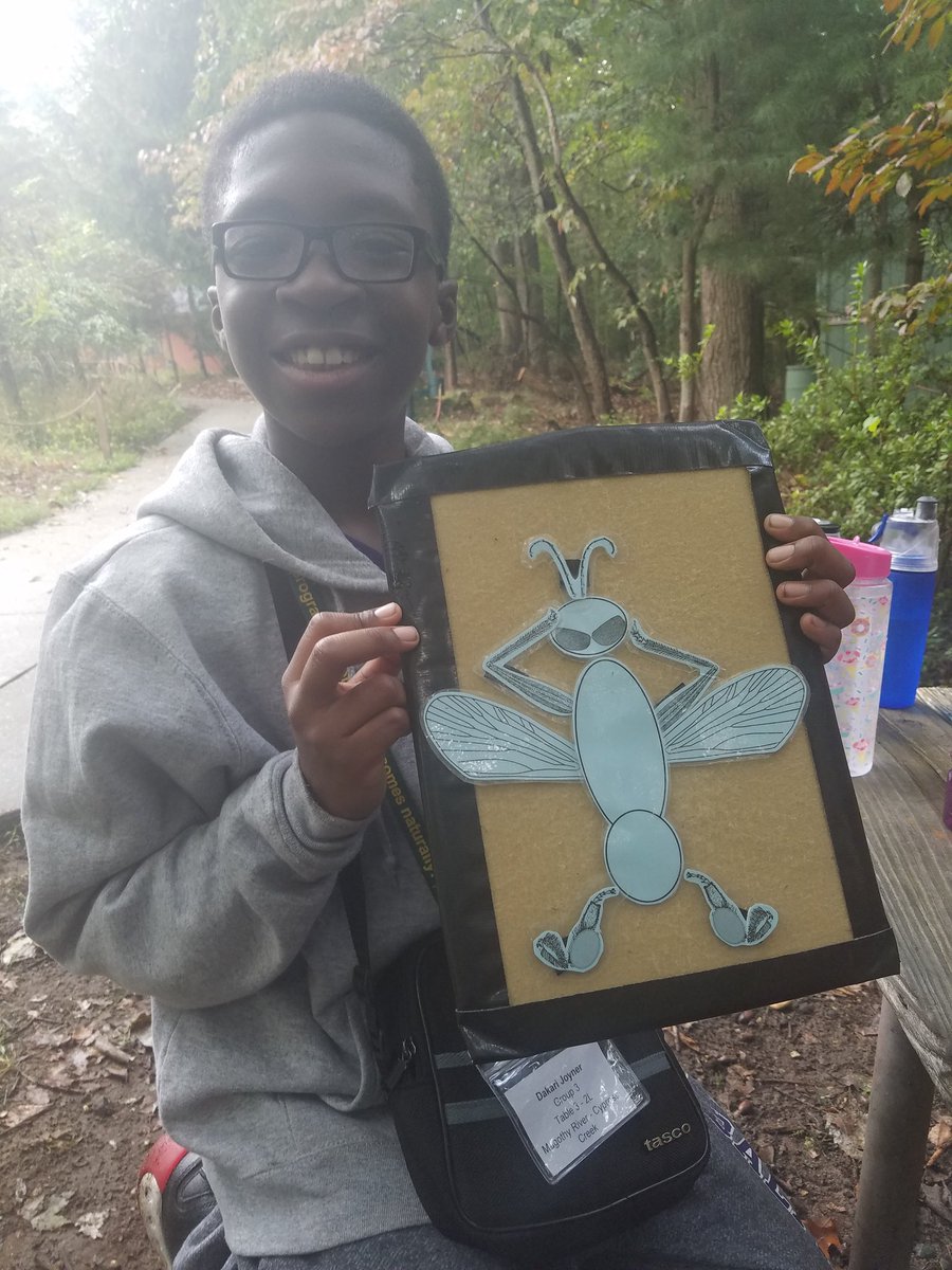Ubuntu365's tweet photo. #BugFamily #NibblesAndBits #DakarisBugWillEatUsAll #WhatHappenedToNature #TooManyHashtags (Students created these # s LoL) Buzz on bees exploratory learning. @therivierabeach @AEchoEnvEdAACPS https://t.co/IcMBUghLR2