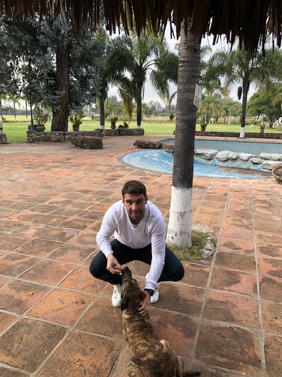 mauroboselli's tweet photo. @daleleon_mx @clubleonfc @PasadosDeVerde Amigos otra vez 🐶😉 https://t.co/I7dh3RXY6U