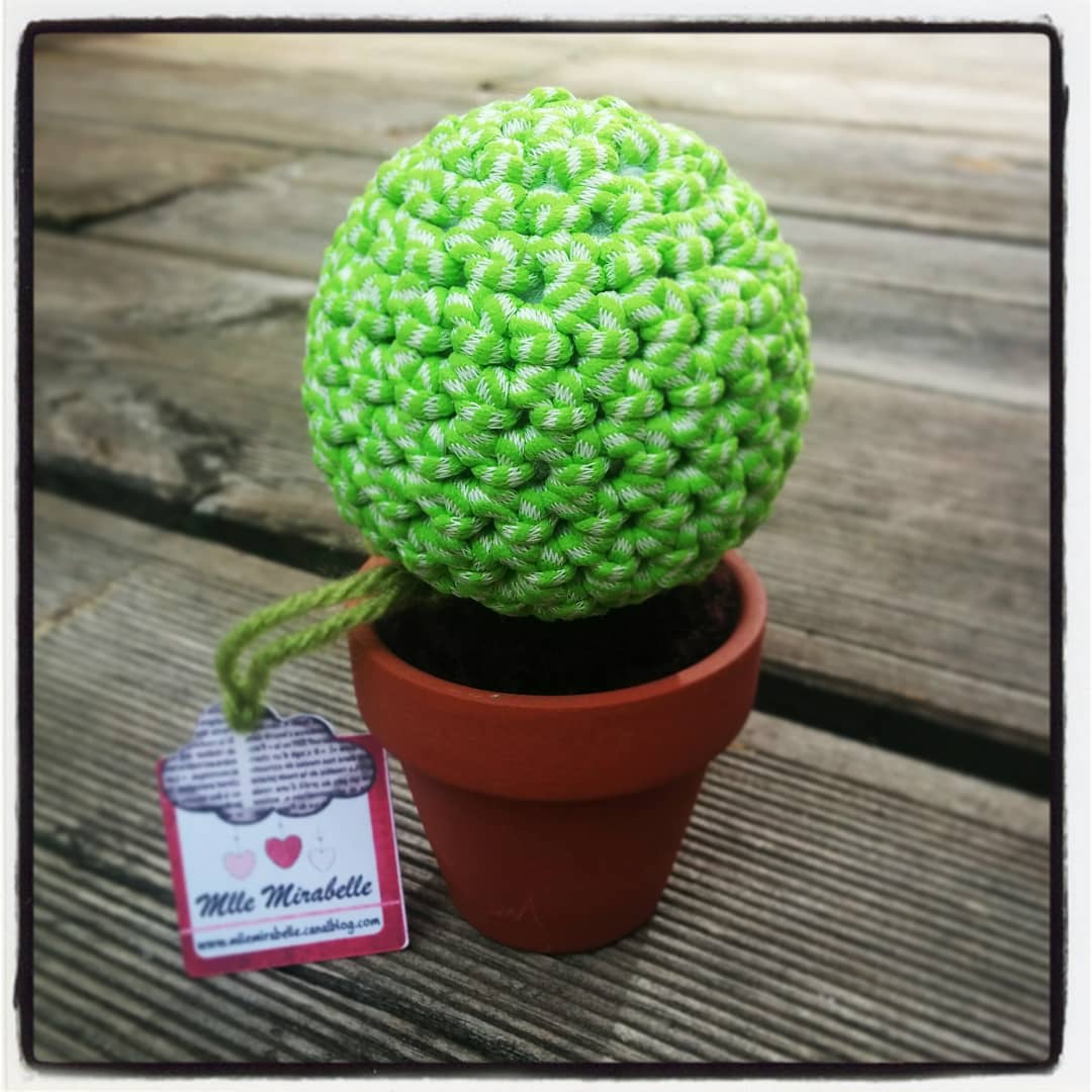 Envie de #gagner ce #cactus en #crochet #faitmain en #alsace ??
Rdv surle blog mllemirabelle.fr, facebook.com/demoisellemira… ou instagram.com/p/Boy1QMeF86c/… 
#cadeau #concours #tirageausort