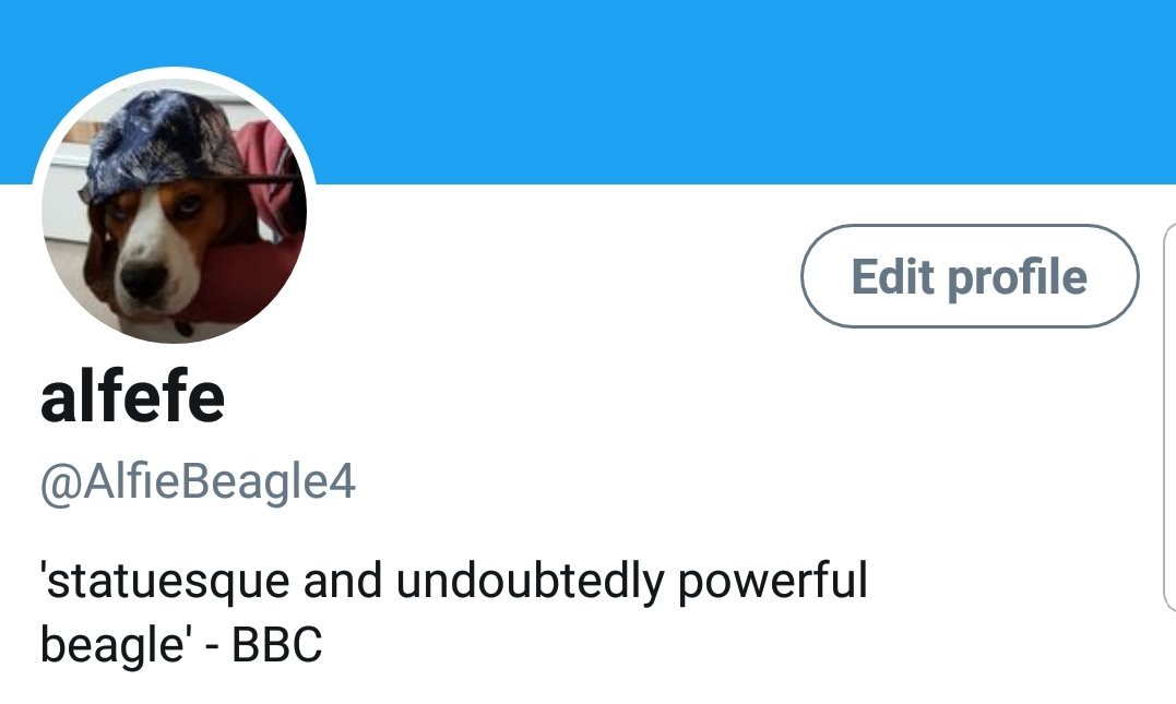 AlfieBeagle4's tweet photo. @BBCPhilipSim @Annie__McGuire @TheLastGoodGirl @RossMcCaff @bbcpodlitical @ScotParl @willie_rennie Yeah. #bottlecrashed https://t.co/bD4Aq6aLE7