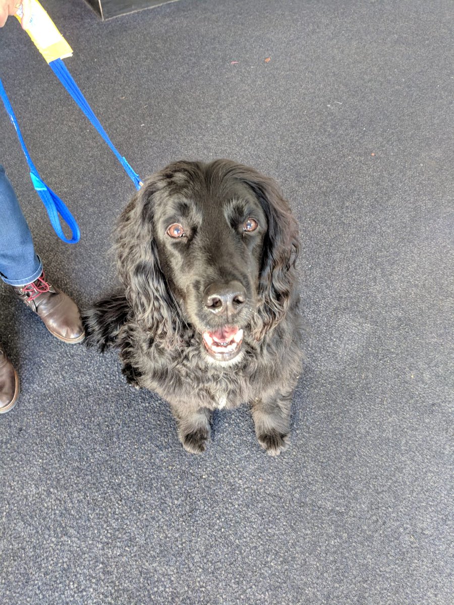 RDELocalResearchTeam tweet media