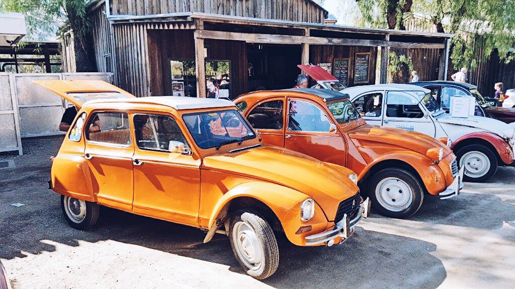 Experience Echuca Moama tweet media