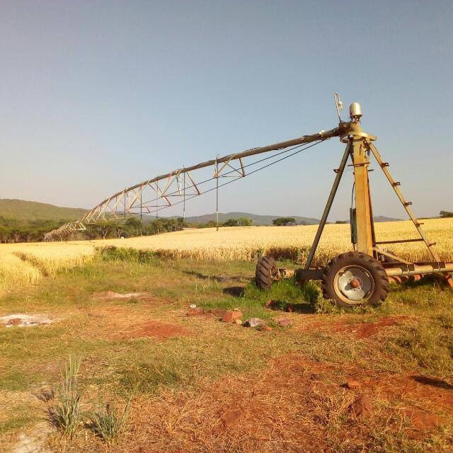 Dear Zimbabweans, when the price of bread goes up, it is unhelpful to go into Spar/OK supermarket &amp; take pictures of price tags to post on social media. Instead, it’s helpful to encourage those on farms to grow more wheat and support them with resources IF you can.