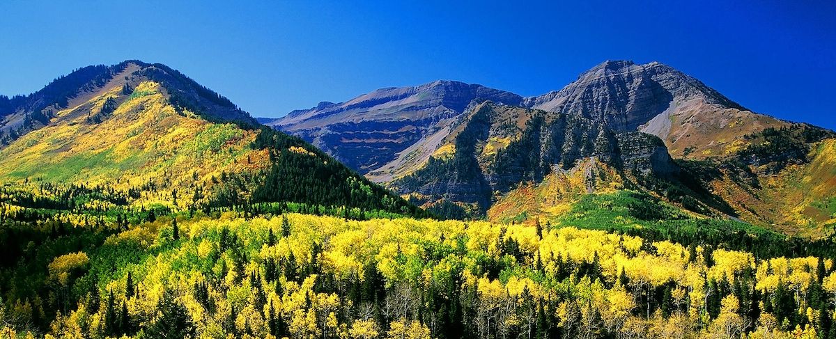 PublishersWkly's tweet image. Dear Edward Abbey: Things Aren’t Looking Great for the Wild | @lithub pwne.ws/2ywBbD2