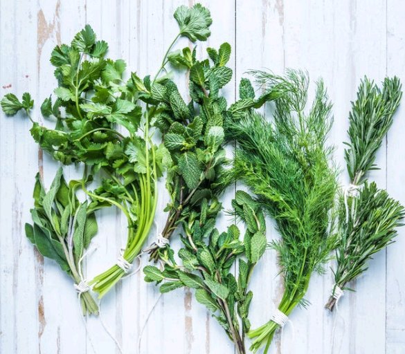 From ancient times, herbs have been known for their aromatic, savoury &amp; medicinal purposes. Join us at #woolwichlibrary for the ‘Know Your Herbs’ interactive workshop with Eureka Shabazz on Tues 23 Oct from 10-12! <a href="/LDNLibraries/">London Libraries</a> <a href="/Royal_Greenwich/">Royal Borough of Greenwich</a> <a href="/BhmUK/">Black History Month 2026</a> #loveyourlibrary #BHM2018