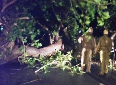 Titli cuts off Gajapati from rest of state #NaveenPatnaik #CSAPPadhi #Titli #Cyclone #Gajapati #TeleCommunication #RoadCommunication @OrissaPOSTLive

For More Visit:- bit.ly/2RD4nky