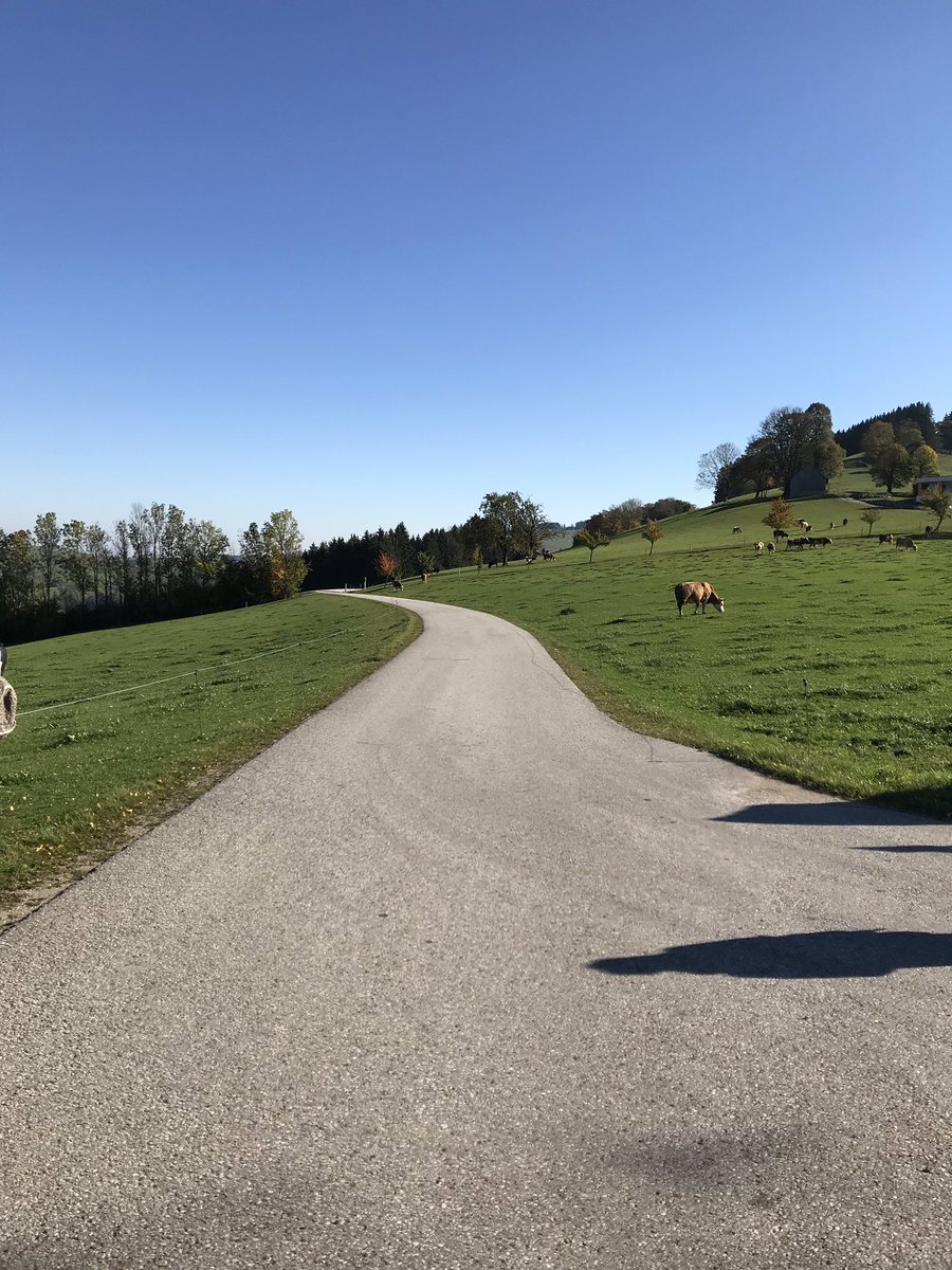 agroklub's tweet photo. Posjetili smo organsku obiteljsku farmu Biohof Edenbuder u Austriji. Uživajte u slikama dok ne napišemo njihovu dojmljivu priču #agpress #dgagri #austrija #organic #cows #mountines https://t.co/KMdwsigcVw