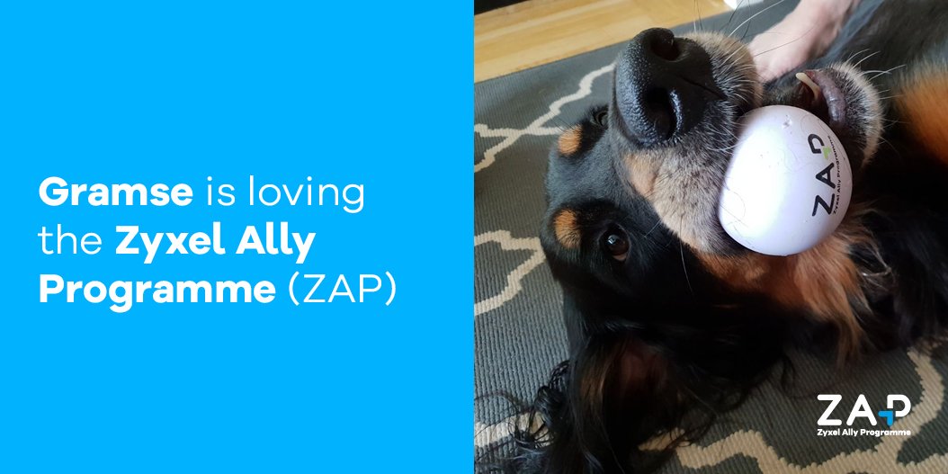 zyxel_partner's tweet photo. The Zyxel Ally Programme - Gramse is loving the Zyxel Ally Programme! #dogsofzyxel #dogsoftwitter #dogsofinstagram #ZyxelZAP https:/partner.zyxel.eu https://t.co/COOseXL1VU