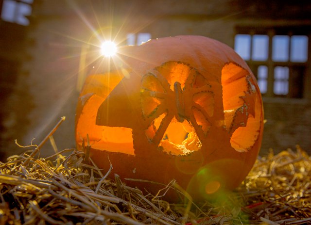 Lots of Halloween events taking place across the visitor attractions this October. Visit discoverdudleyevents.co.uk for more details. @RedhouseCone <a href="/BCLivingMuseum/">Black Country Living Museum</a> @DCTTrips <a href="/dudleyzoo/">Dudley Zoo</a> <a href="/DudleyMuseum/">Dudley Museum at the Archives</a>