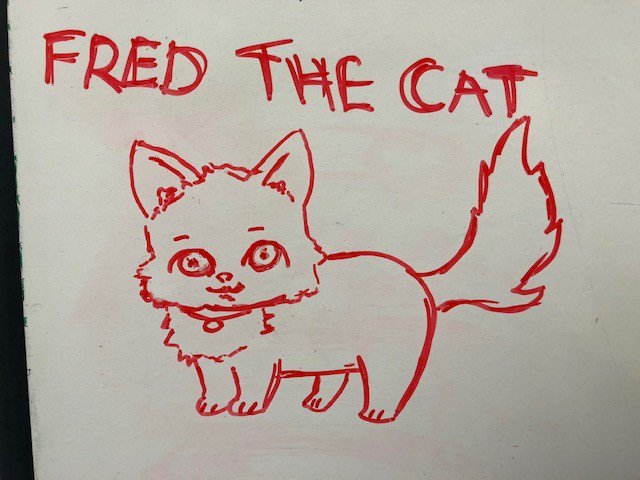 Function28's tweet photo. New member of the team! #FredTheCat will be overseeing all projects in the #Function28 office. π±
https://t.co/T7VROCGBtw https://t.co/xA9zQjr2Zs