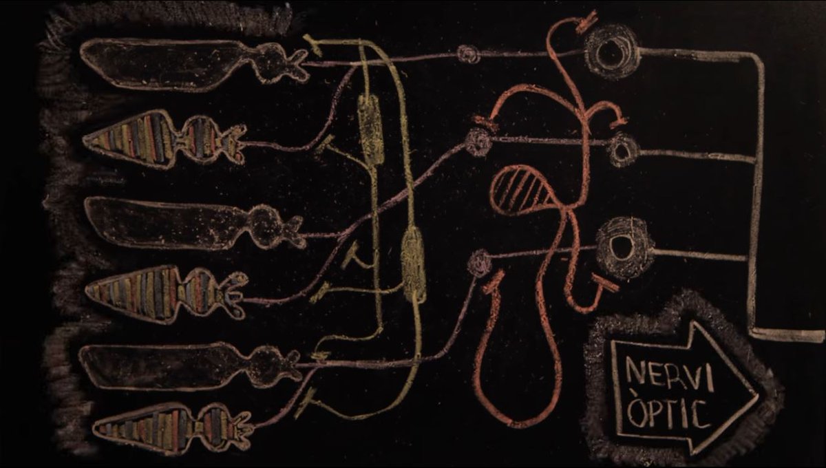 UBDivulga's tweet photo. Existeix una gran varietat de patologies de la visió que podrien ser evitables o tractables. En aquest vídeo, finalista del concurs #neuroUB, s’explica la nictalopia o ceguesa nocturna i la importància d'investigar-la. https://t.co/UeIuDm3Gpq #DiadelaVisió https://t.co/GoS0t3XCiO