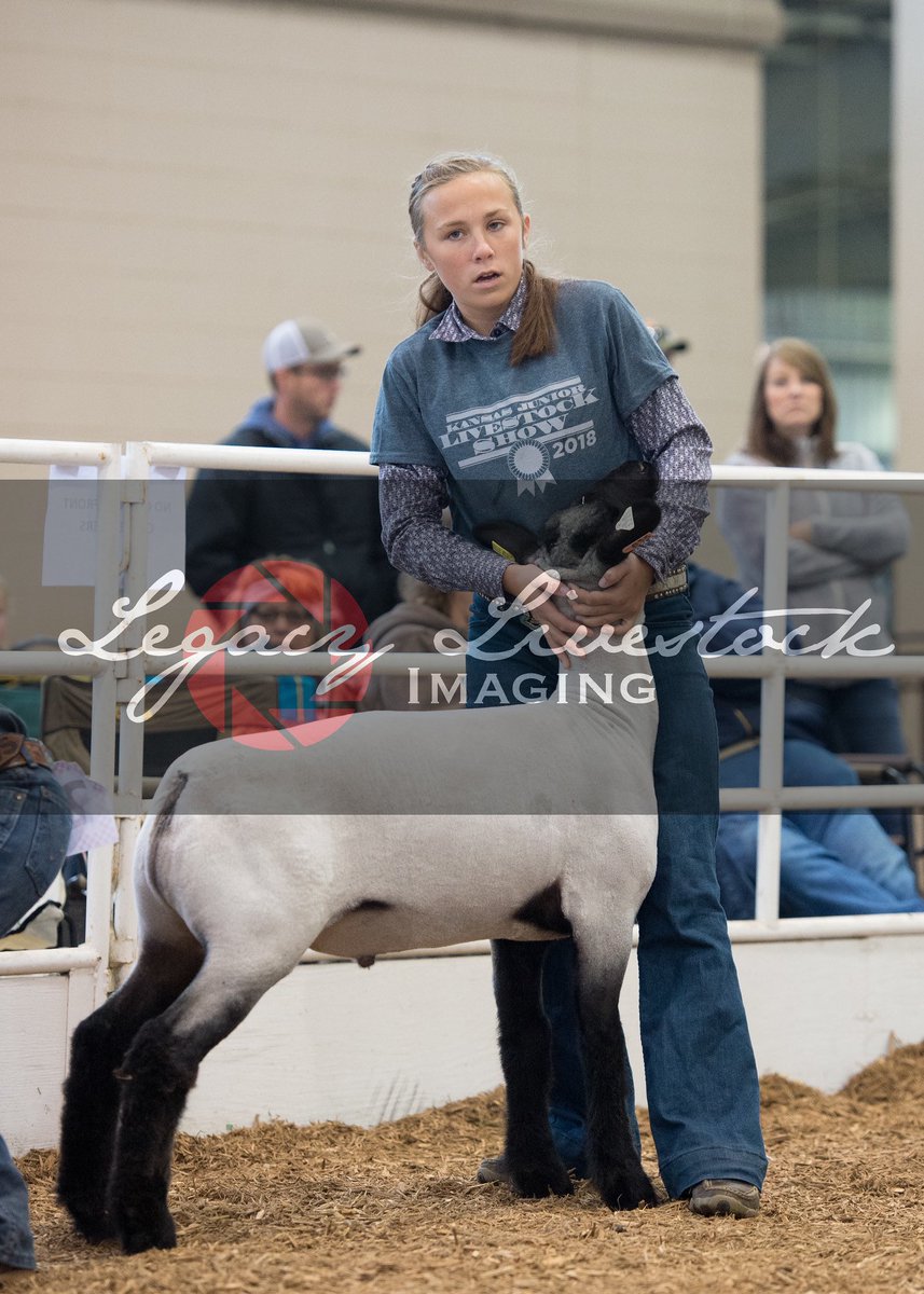MadelineCDrake's tweet photo. I had so much fun at KJLS this weekend and I can’t wait for next year.#KJLS #Livestock #4H https://t.co/B1leazeJWa