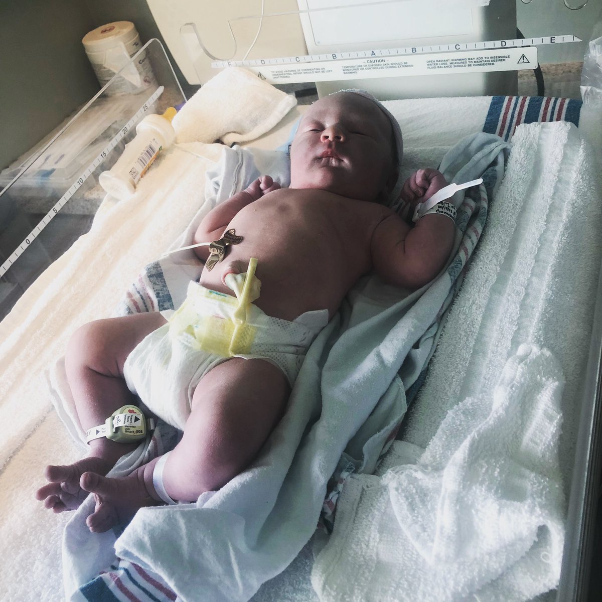 Stormi Roy tweet media