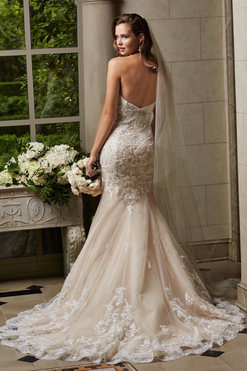 carlasbrides's tweet photo. 🌟New price reduction on Cosette by Wtoo Watters. Was £1450 Now £250!!! UK 14. Beautiful gowns at amazing prices!! If you love it - get it! Sale is going fast! #closingdownsale #newreductionsnowon #nottibemissed #weddingdresssalenottingham #westbridgfordsale #nottingham https://t.co/AsFcGH5Shn