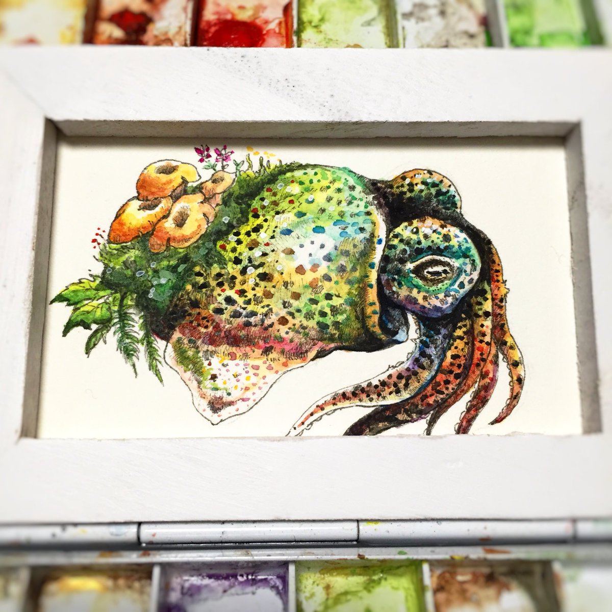 イカの日 過ぎてるけど！いいタグじゃないですか