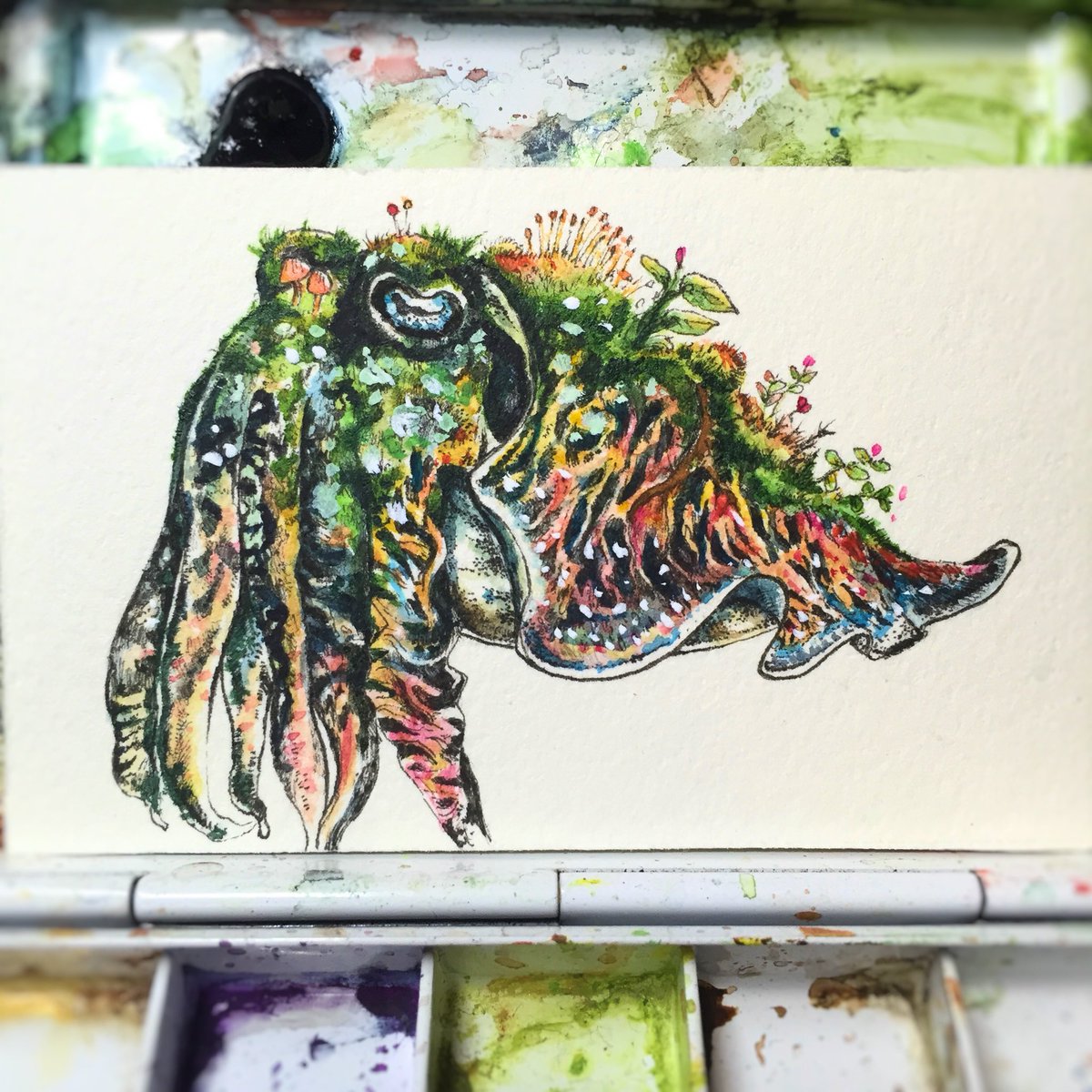 イカの日 過ぎてるけど！いいタグじゃないですか