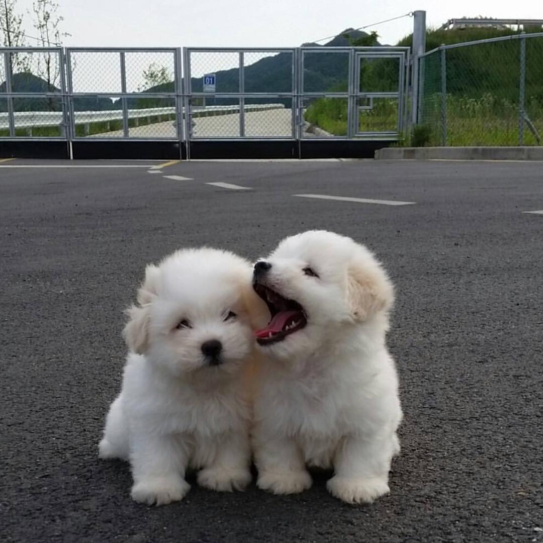 We've all got that one person at work who stands a little too close when they talk 🤦‍♀️
@fokolona