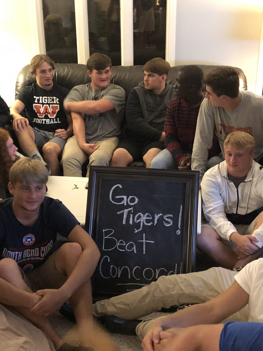 Michael Curtis tweet media