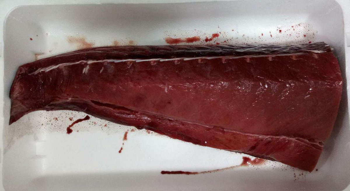 ArteyTapas's tweet photo. Empezamos el puente con energía y cuidandose, para ello preparamos platos que aporten vitaminas, bajos en grasa, ricos en omega 3, que mejore las funciones cerebrales... y todos con Atún Rojo, preparado en Tataki, Tartar o simplemente a la plancha, elige la forma y a probarlo https://t.co/A9W764f7Fw