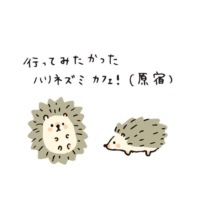 動物画像無料 トップ100 ハリネズミ イラスト 書き方