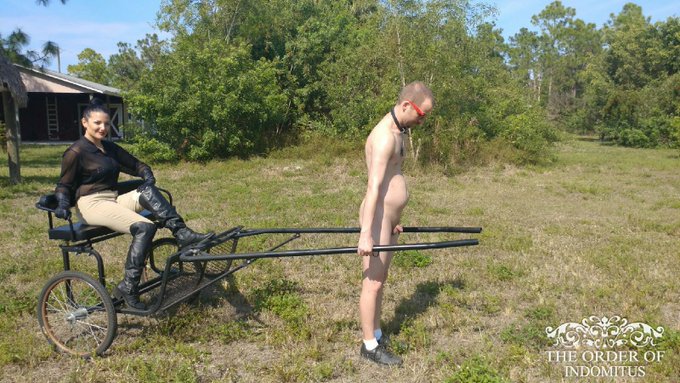 Taylor Dawn’s pics and videos