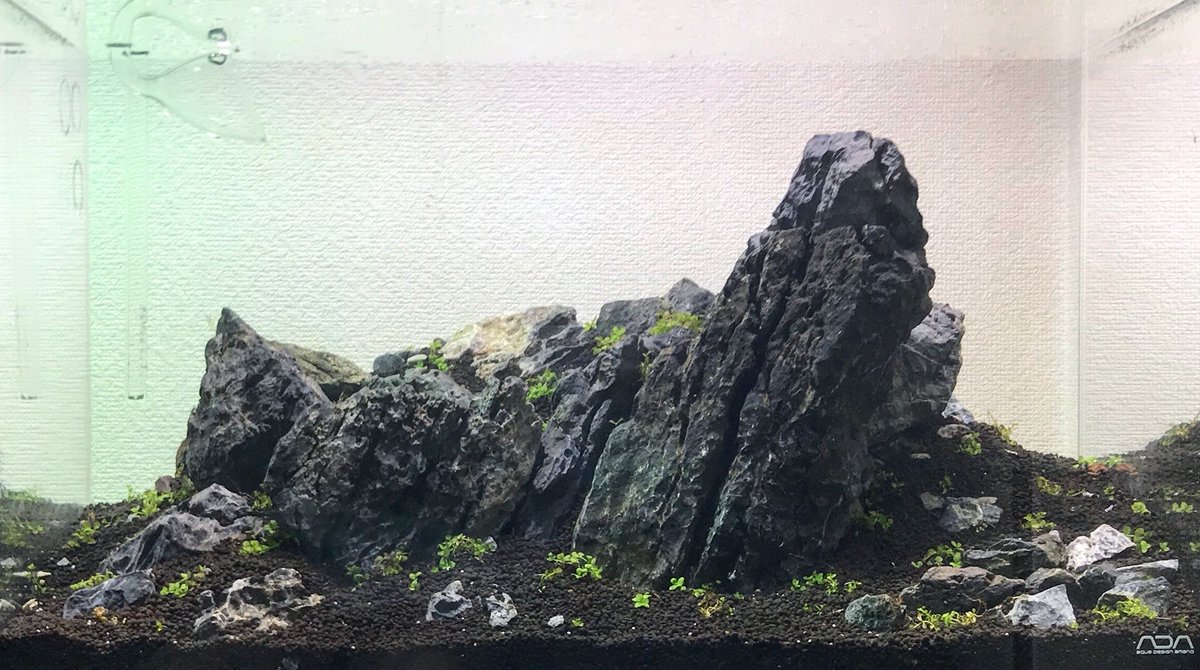 アクア師匠 60cm水槽レイアウトリセット はじめての龍王石の岩組レイアウト 水草はニューラージパールグラスのみ植えました アクアリウム Aquarium ネイチャーアクアリウム Natureaquarium 龍王石 玄胡浪士