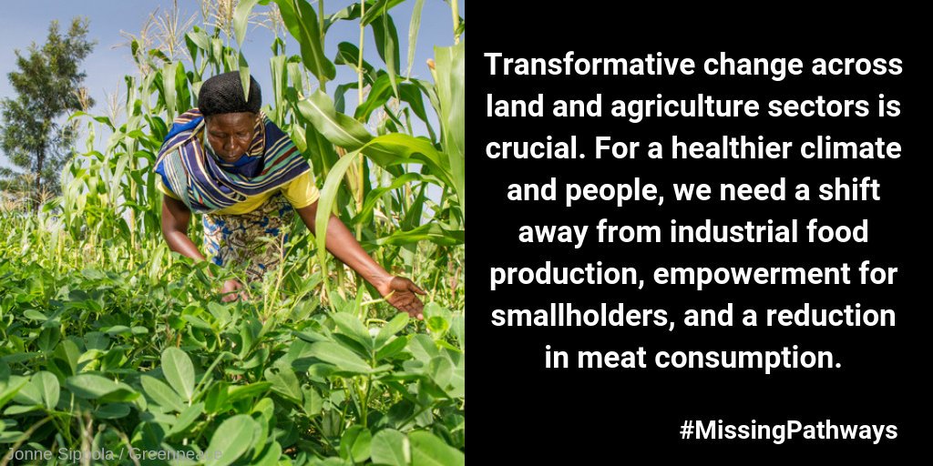 RainforestNORW's tweet image. The upcoming CLARA #MissingPathways report shows ecosystem-based appproaches &amp;amp; agricultural change could deliver 10 Gt CO2-eq per year in carbon sequestered by 2050. Agroecological farming &amp;amp; reduced meat consumption are crucial for sustainable climate action. #SR15 @IPCC_CH