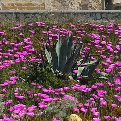 XWCom_PCap's tweet image. #peace of #mind