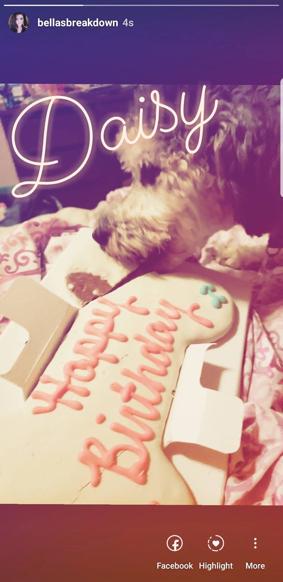 BFootBDown's tweet image. Birthday Girl 

Follow me on Insta bellasbreakdown

#phantompoodle