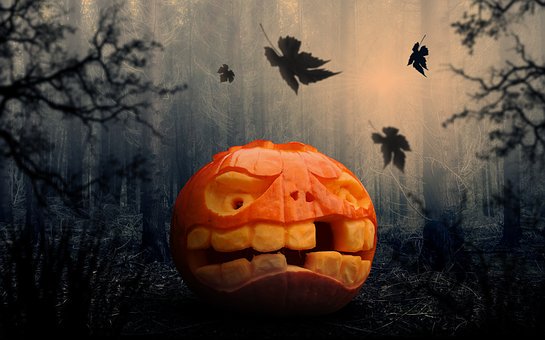 DHilterscheid's tweet photo. Zertifizierung in der Halloween Woche – Traust Du Dich?

Diese Trainings warten in der Halloween Woche in BERLIN auf Dich: https://t.co/aSxztvkoW0

#halloween #trendig #training #caba #istqb #berlin #software #zertifizieren #hauptstadt #technicaltestanalyst #certifiedtester https://t.co/EOP3wOjKFA