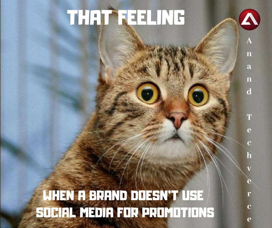 ATechverce's tweet photo. ANAND TECHVERCE a leading Digital Marketing Company, Chennai, India https://t.co/GCyRGXx72S #DigitalMarketing #digitization #onlineadvertising #socialmediaadvertising #searchengineoptimization #digitalstrate #marketresearch #marketing https://t.co/BEjGEzLWdc