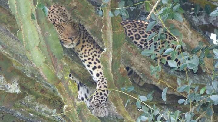 Vast array of #wildlife in #Uganda's  #QueenElizabeth National Park, #BeautifulUganda #PearlofAfrica #VisitUganda #Travel! #EndWildlifeCrime #IllegalWildlifeTrade 📷 JP Mushwa