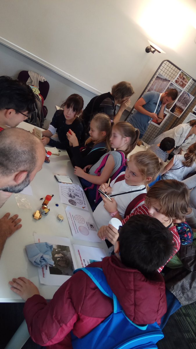 Labille Jerome tweet media