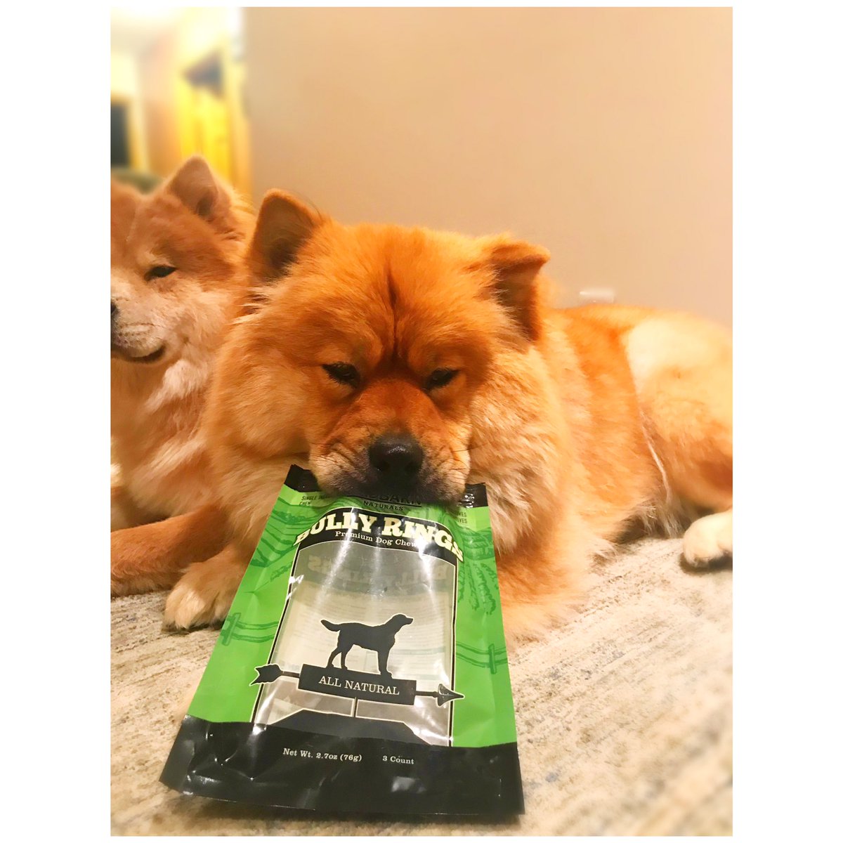 DigsbysWoofPack's tweet photo. When youβre blaming each other for the empty bag π #GrumpyBears #BullySticks
Thank goodness fur the Red Barn @redbarninc Giveaway fur a bully stick prize pack!! Enter to win https://t.co/D6eAFs8YvD #Redbarninc #RedBarnPartner https://t.co/eaSJKTtc0B