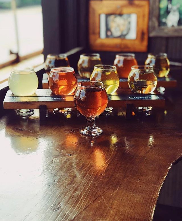 ColterBay's tweet image. Well the sun can’t shine forever... beat those cloudy day blues with 44 lines of craft beer and cider here at Buffalo’s corner bar! 📸: @ninepincider