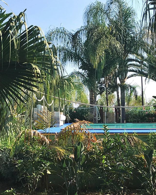 juliafters's tweet photo. Paradise
Série tropicale 2/3
•
#juliagotravel #mloat #holidays #summervibes #summerbreak #sicilia #igerssicilia #travel #instatravel #travelgram #visitsicilia #igerseurope #europetourism #ig_europe #ilovesicilia #ortigia #ortigiaisland #ortigiasicil… https://t.co/JBE7pA98tA https://t.co/4eNrHFMINL