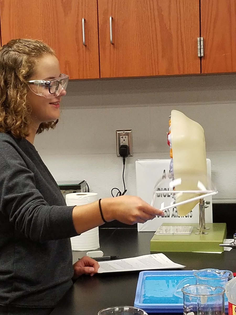 shelbywhippets's tweet photo. Advanced Bio students simulating plasma membrane properties using soap bubbles. Demonstrating hydrophilic and hydrophobic properties. #fluidmosaic #phospholipidbilayer #binaryfission #scienceisfun #whippetpride https://t.co/ydeiEbnjL0