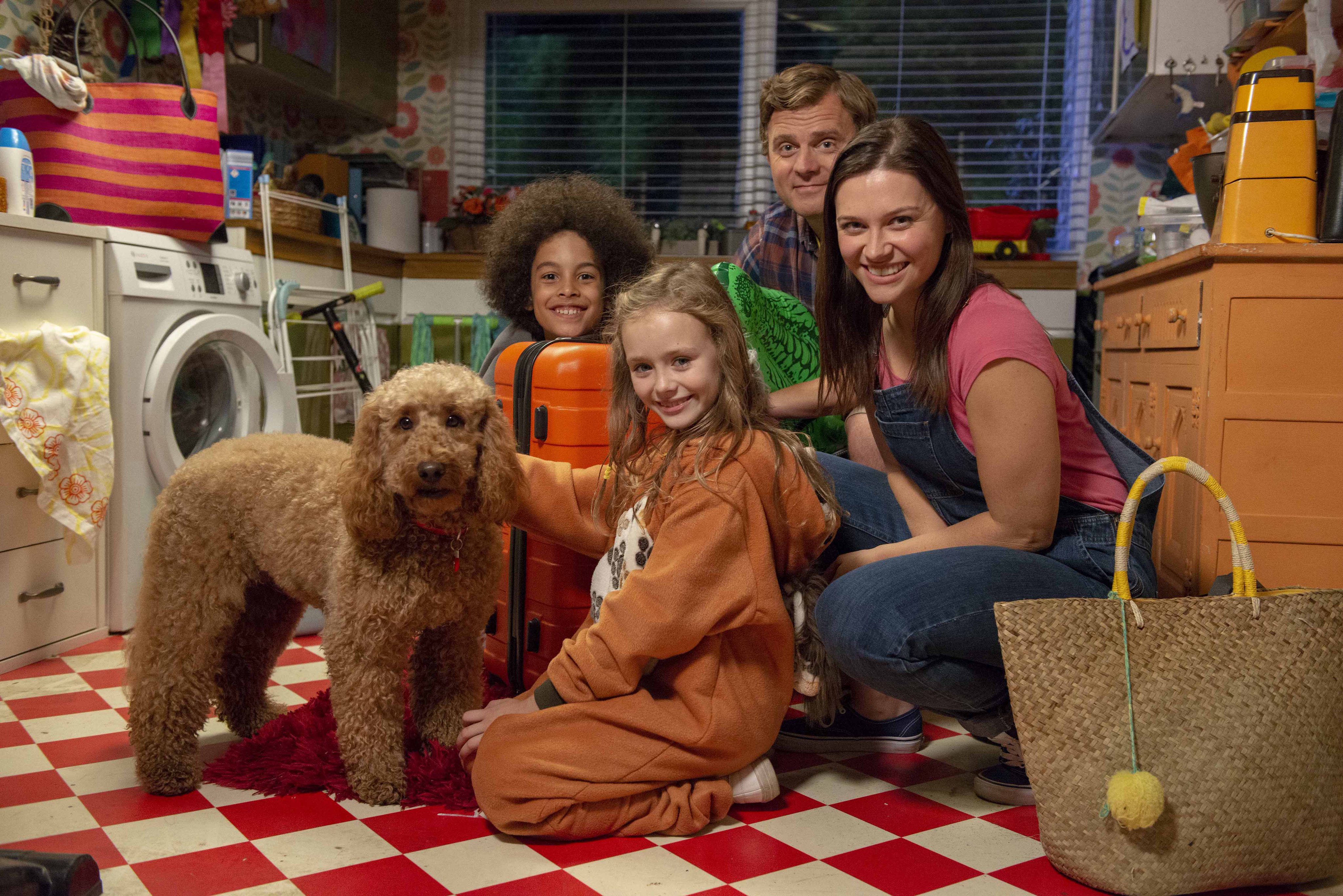 Waffle the sale wonder dog bag
