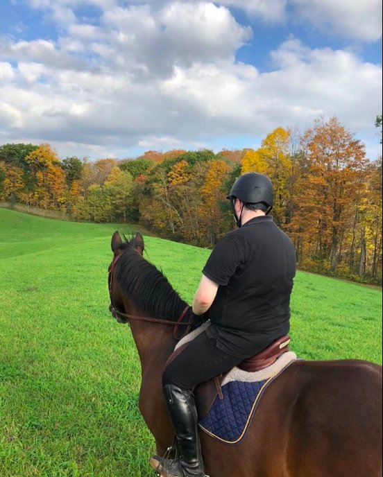tdotequestrian's tweet photo. #views #torontoequestrian https://t.co/HNbLPsSPPa