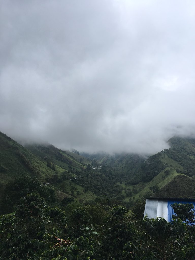 Faded Out tweet media