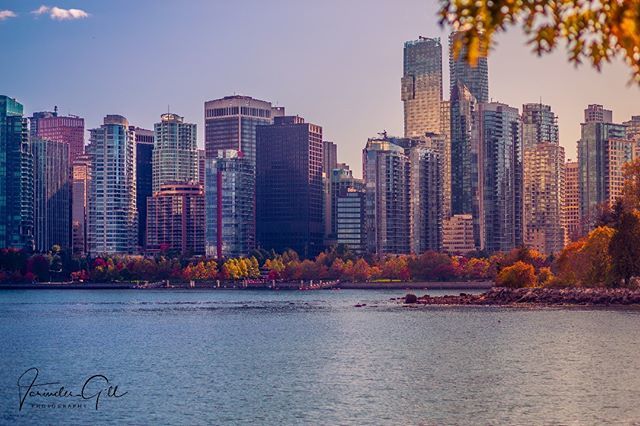 SparkP1xels's tweet photo. #vancouver ! what a beautiful place to live in 🍁🍁🌆 . . . . . @travelandleisure #explorecanada #explorebc #vancouverisland #natgeotravel #dslrofficial #sparkpixels #stanleypark #thirdbeach #fall #autumn #mycanadianphotos #resourcemag #allinshooters
https://t.co/vmlOy9RBsy https://t.co/pXp9xfysmj