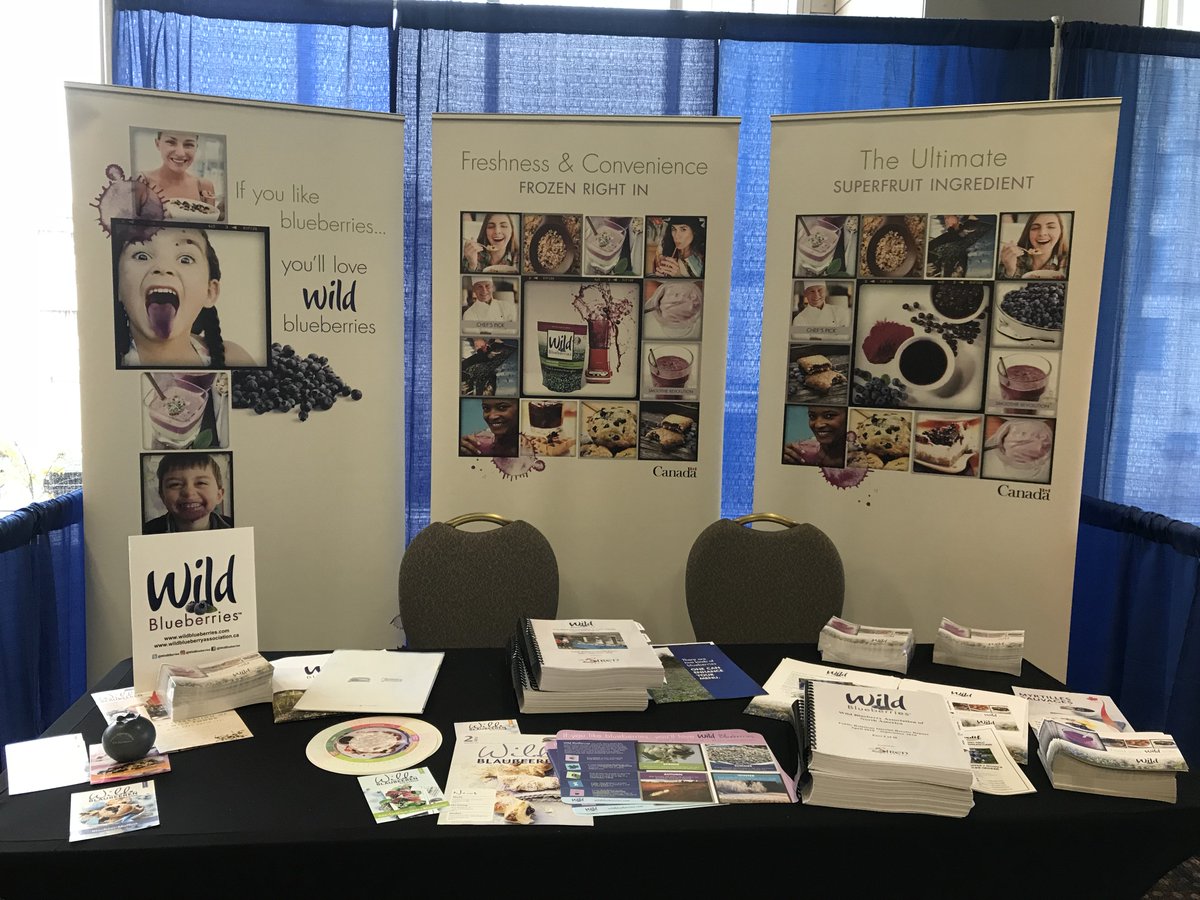 thesirengroup's tweet photo. Talking everything #wildblueberries in #Fredericton this week w @WildBBerries @canadianwildbb @wbana_japan & more #healthbenefits #Canadianfruit https://t.co/W5cZsNMA1b