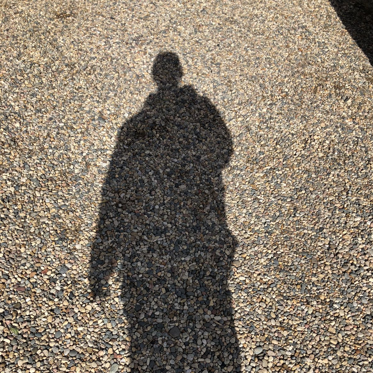 jeff_elder's tweet photo. Hey! Where have you been?? #missingfortwoweeks https://t.co/MJzleWCFEx