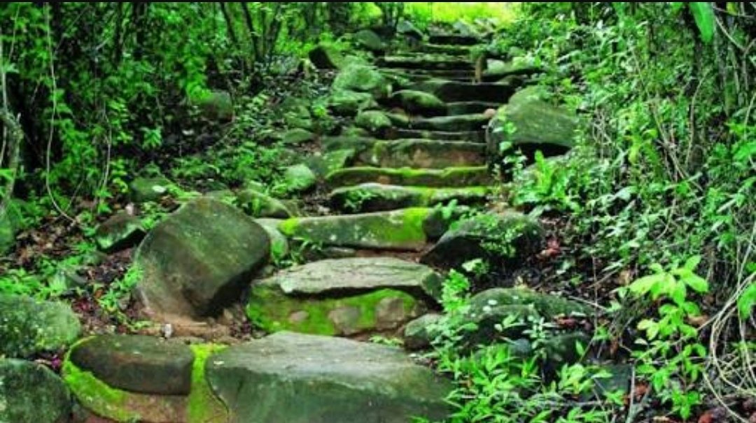 Lilly46504391's tweet photo. #TourCampaignSA
#ENG2604 
Nature's treasures in Nelspruit, The Lowveld National Botanical Garden grows magically between Crocodile and Nels River offering magnificent array from the spectacular waterfall. It is a Must see. They also host a dozen of Chimpanzees who were rescued. https://t.co/bZbWecbEhu
