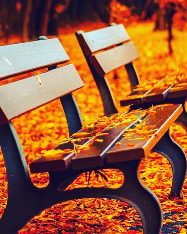 CanURobTheBank's tweet photo. It finally feels like Fall so it’s time to come inside and play our #EscapeRoom! Book now at https://t.co/AJx9CWyjZ4 https://t.co/nP2HpcNfQT