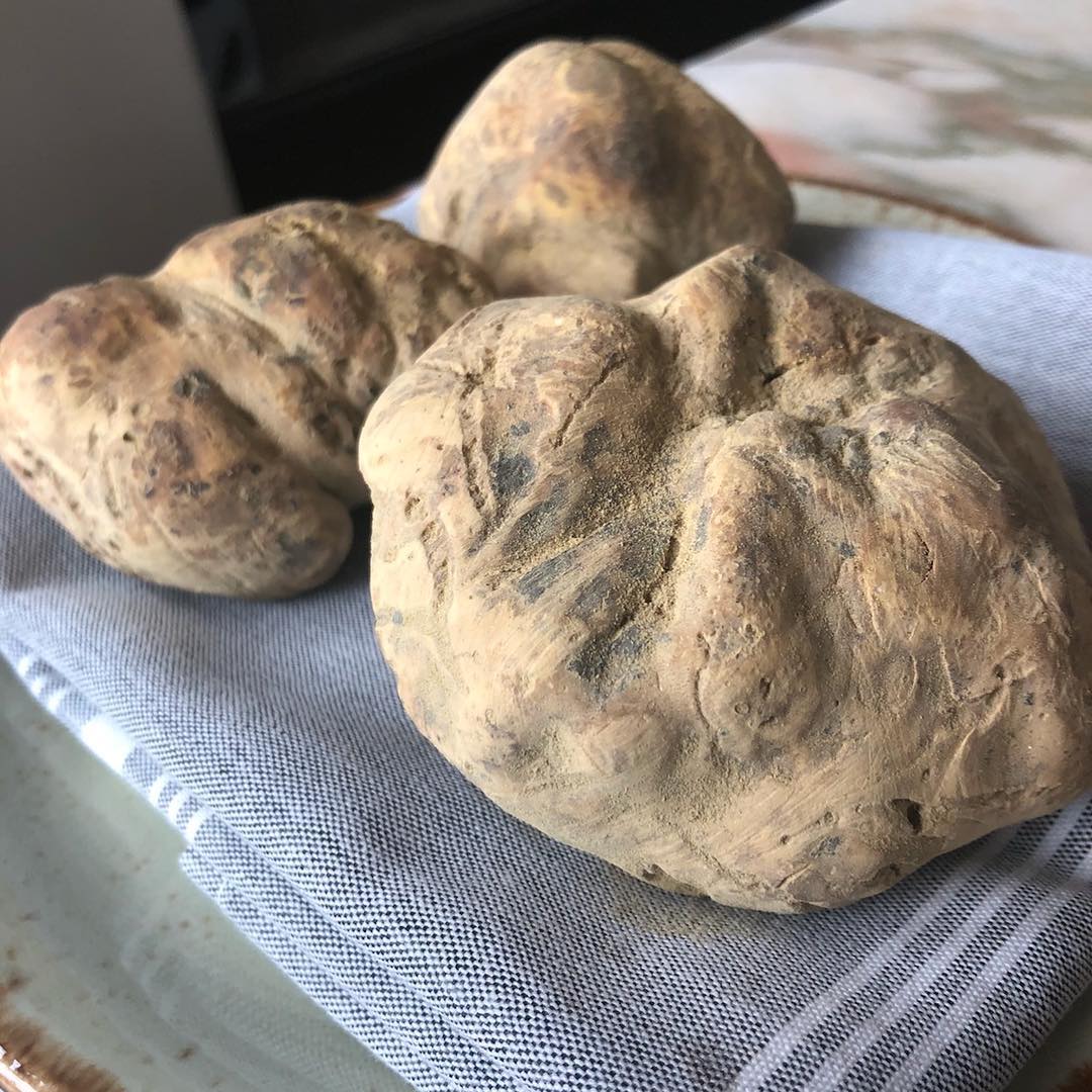 SanLorenzoDC's tweet photo. White Truffles are in the house! We’ll be shaving #whitetruffle on special dishes all month long, and highlighting them at our special #SanLorenzoSundays #TruffleDinner on Oct 21! #SanLorenzoDC #italianfood #truffles #sogood #dcdining https://t.co/NtPIr4YbJe