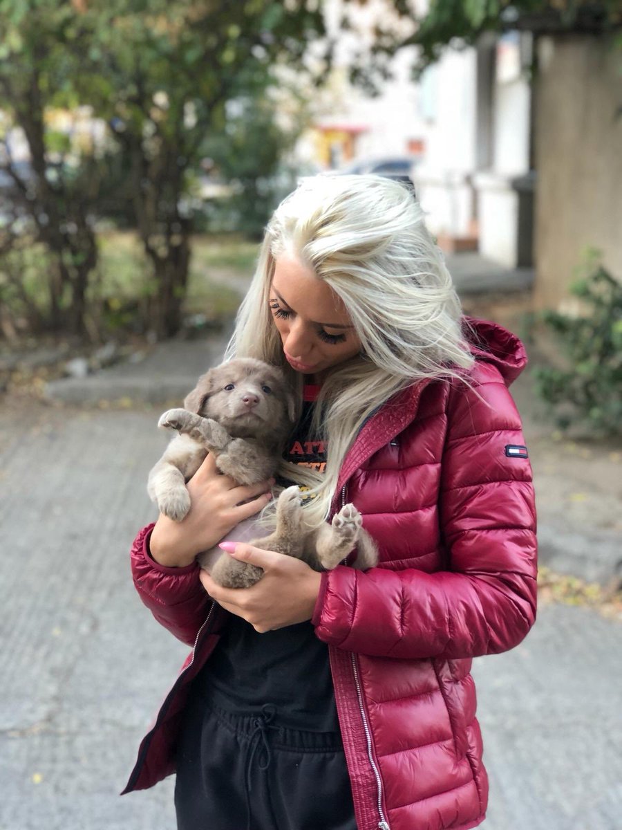 ElisaDaelyn tweet media