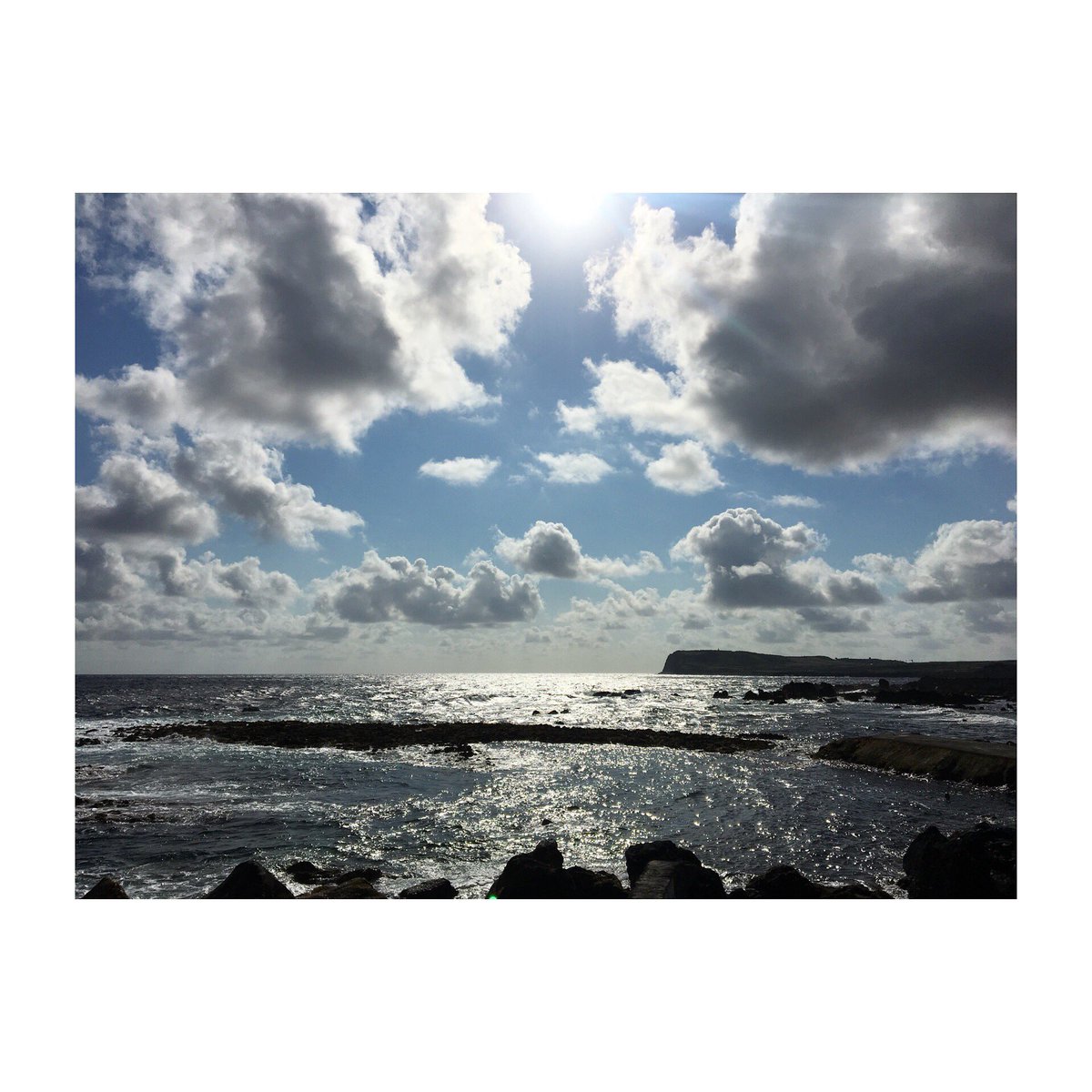 LadyKdesigns's tweet photo. “Be willing to be a beginner every single morning” #meistereckhart #travel #tbt #quotestoliveby #yogaretreat #azores #bodyroots #yoga https://t.co/13vEXMrNFp